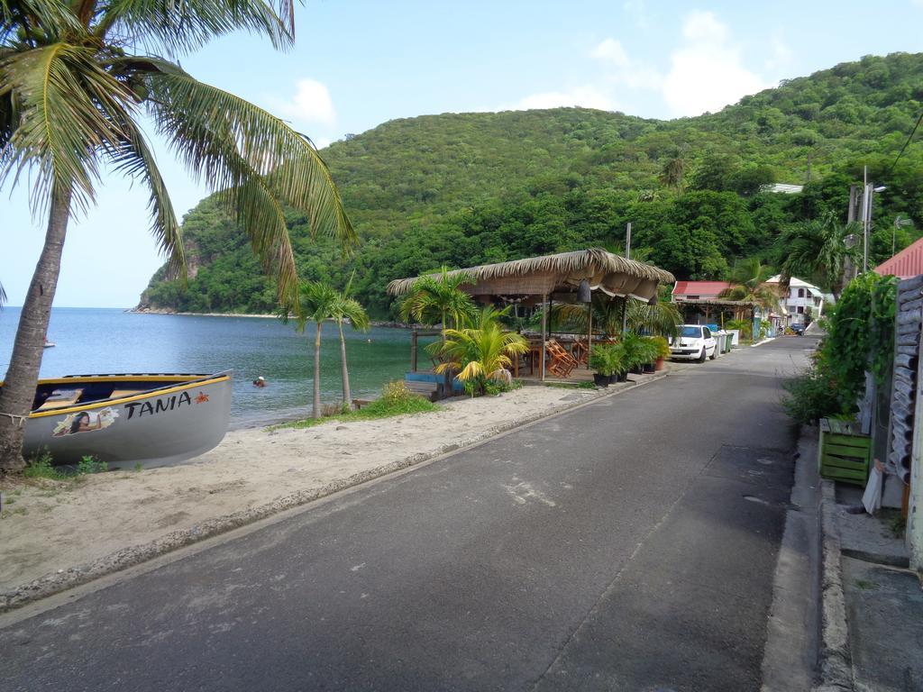 Jardin Bananier Deshaies Exterior foto